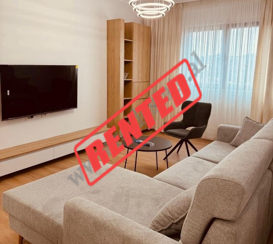 Modern tewo bedroom apartment for rent in Durr&euml;sit Street near the Embassy area in Tirana, Alba